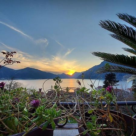 Apartment Terazza Di Ljuta Kotor Dış mekan fotoğraf