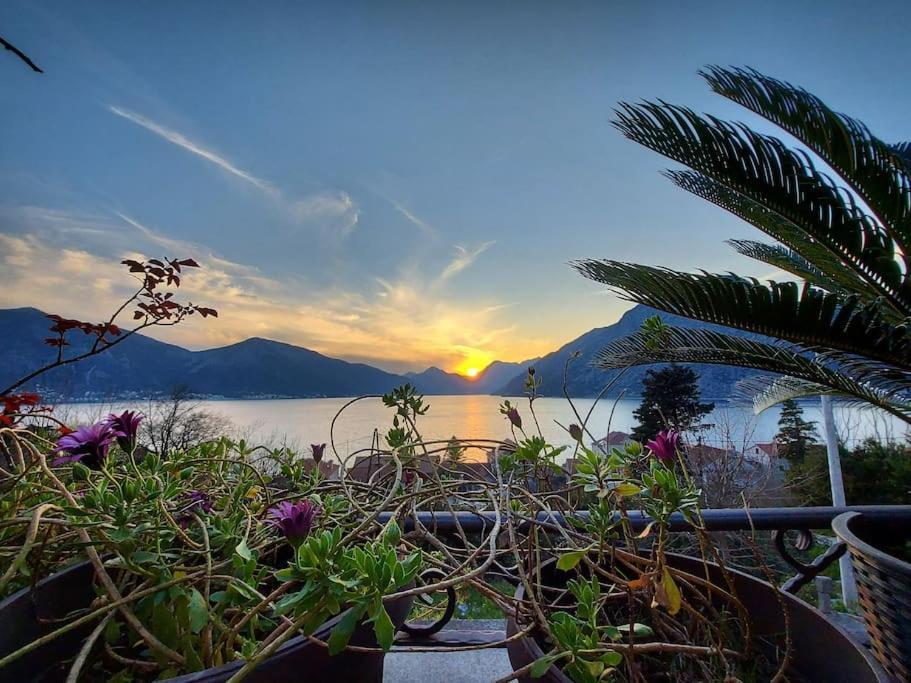 Apartment Terazza Di Ljuta Kotor Dış mekan fotoğraf