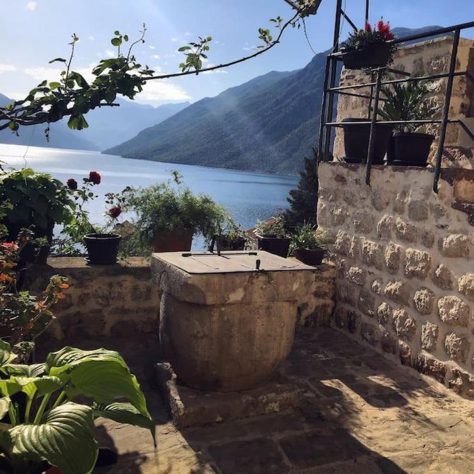 Apartment Terazza Di Ljuta Kotor Dış mekan fotoğraf