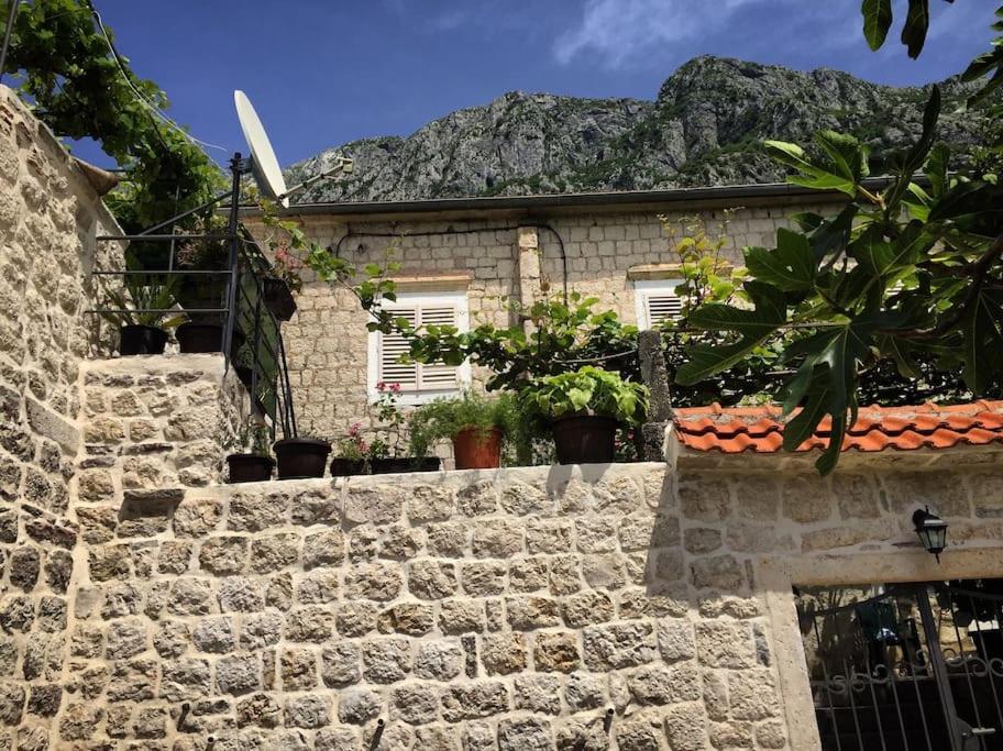Apartment Terazza Di Ljuta Kotor Dış mekan fotoğraf