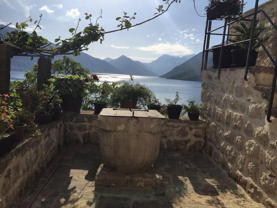 Apartment Terazza Di Ljuta Kotor Dış mekan fotoğraf