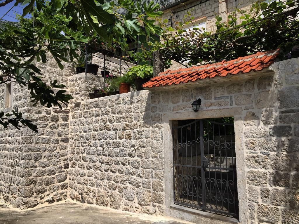 Apartment Terazza Di Ljuta Kotor Dış mekan fotoğraf
