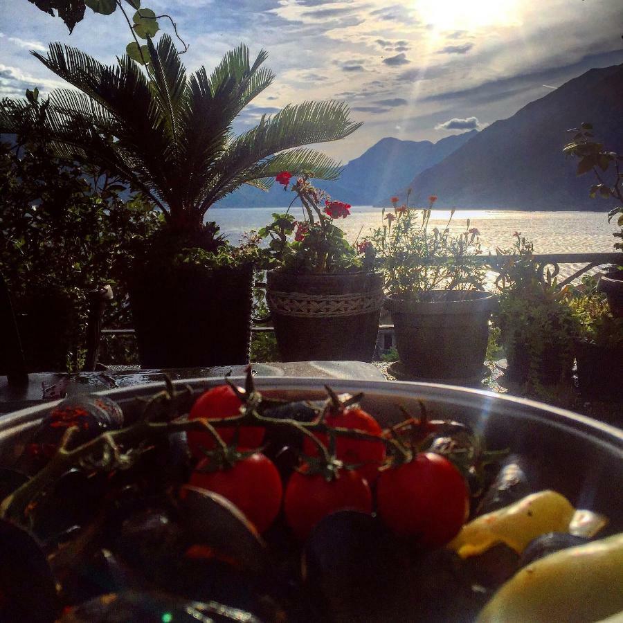 Apartment Terazza Di Ljuta Kotor Dış mekan fotoğraf